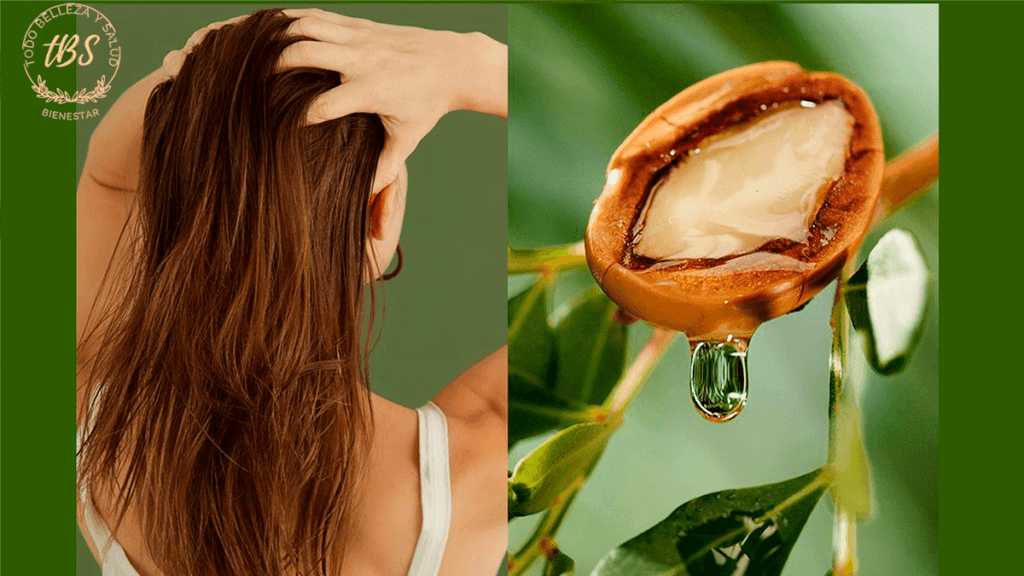 Beneficios del Aceite de Argan para el Cabello