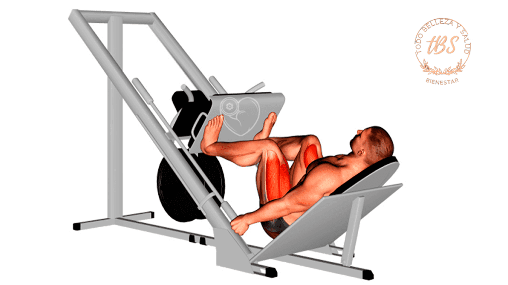 Ejercicio, Prensa de piernas (Leg Press)