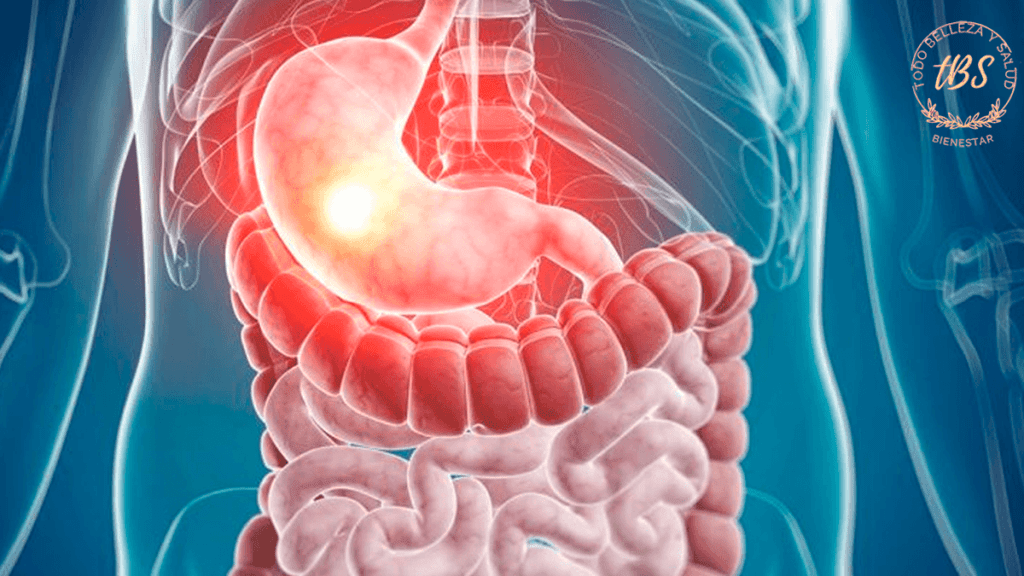 Funcionamiento del sistema digestivo