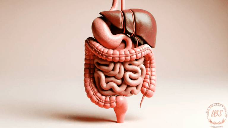 Funcionamiento del sistema digestivo