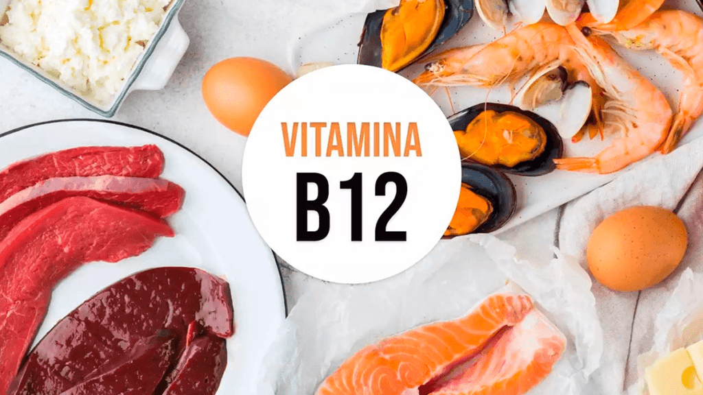 Importancia de la Vitamina B12 en el cuerpo