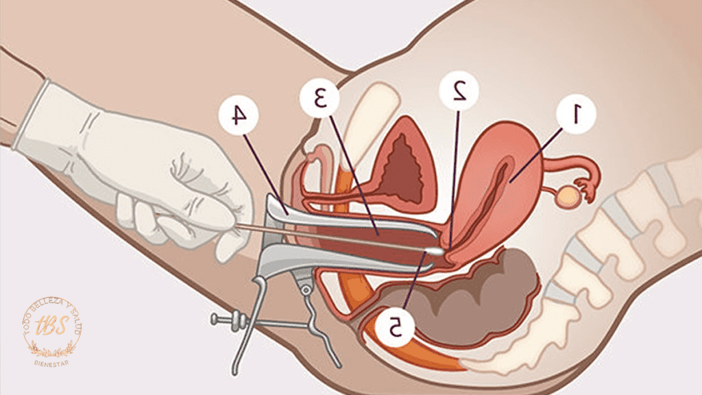 Qué es una prueba cervicovaginal