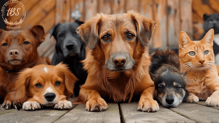 Quién es la persona que tiene más animales en el mundo